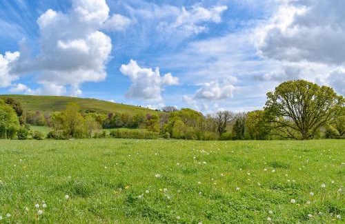 Child Okeford House | The Oaks - Uk33998