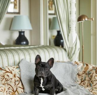 St. Peter Port Hotel | The Old Government House Hotel & Spa