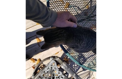 Maysville House | The Old Trout Lodge