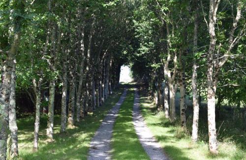 Helston House | The Old Wood Store