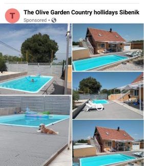 Sibenik Apartment | The Olive Garden