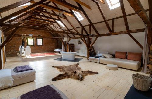 Fagaras Apartment | The Open Space