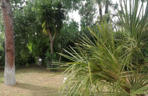Municipio 2 Bed & Breakfast | The Orange Groove
