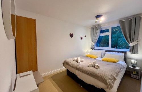 St Ives House | The Palm Tree House