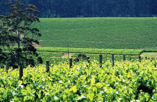 Pemberton Hotel | The Pemberton Hotel