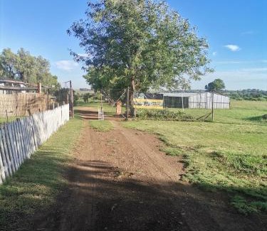 Ngwathe House | The Peppertree