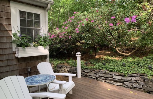 Essex Cottage | The perfect New England getaway only a 10 minute walk to downtown!