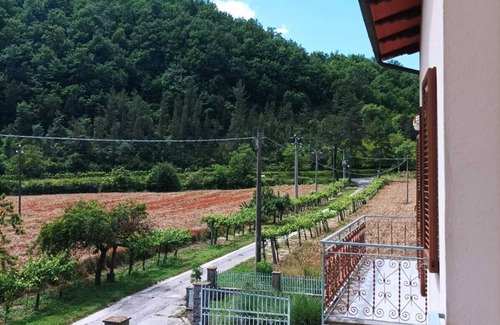 Citta di Castello Apartment | The Pratelli House