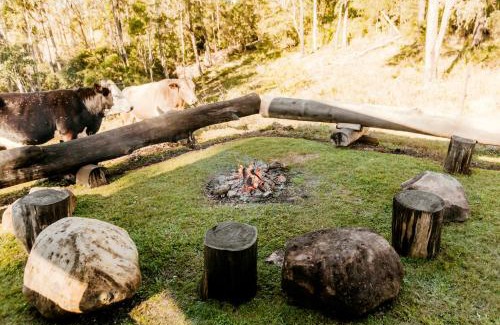 Clothiers Creek House | The Ranch Cabarita Beach - Tiny Home