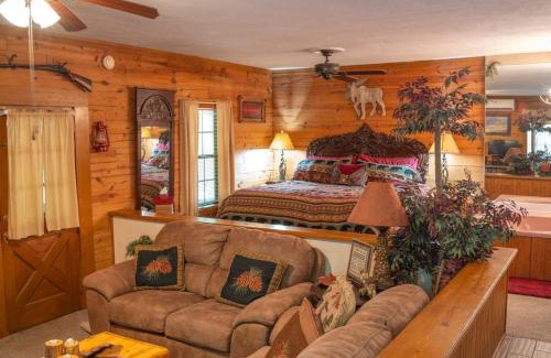 Eureka Springs House | The Rest and Relxation Cabin