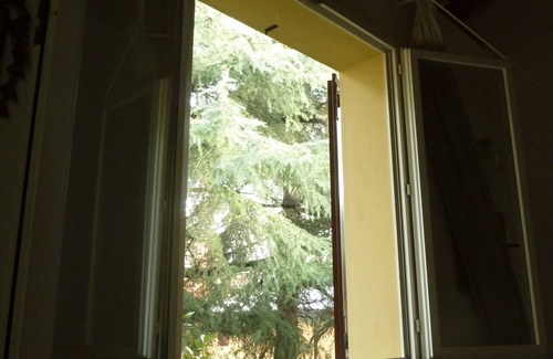 Province of Bologna Apartment | The Room on the Cedars near Airport + City Center