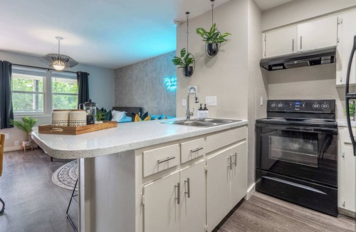 Allandale Apartment | The Sapphire | Creative Studio | Sleep 5 in Austin