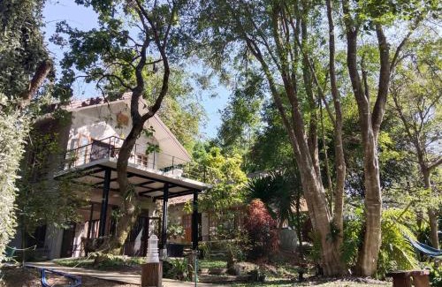 Khanong Phra House | The Sense of Wood