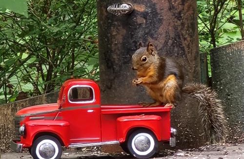 Madeira Park House | The Shed at Moon Dance