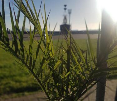 Martlesham Heath House | The Shipwreck Loft