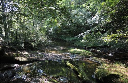 Hurst Green Hotel | The Shireburn Arms