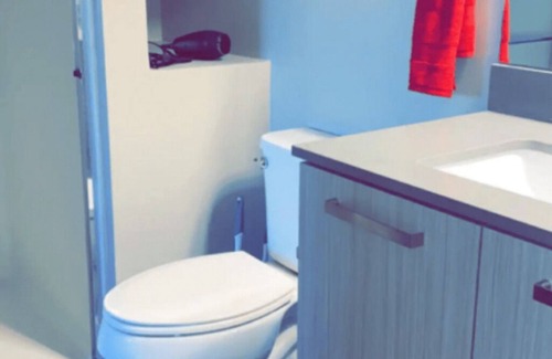 Lansing Apartment | The Skyline Penthouse : Downtown ( Luxury )