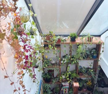 Holborn and Covent Garden House | The Snug in a Quaint English Mews House