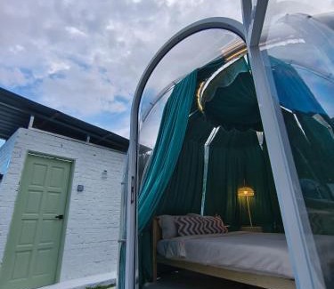 Ulu Telom Other | The Starry Dome Couple Room