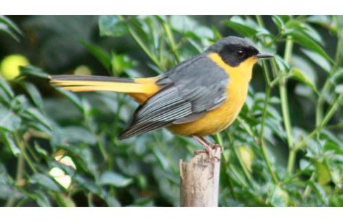 Kentani Apartment | The Sullies, Morgan Bay