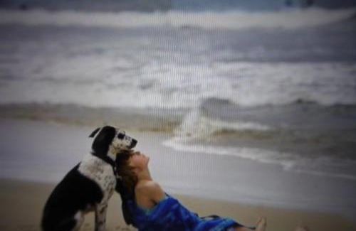 Bridlington Ski Chalet | The Sun Trap @ Bridlington's Bed & Bowl Beach Breaks