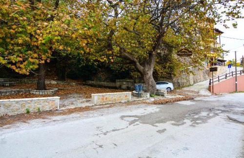 Synikia Mesi Trikalon House | The Theater of Dreams