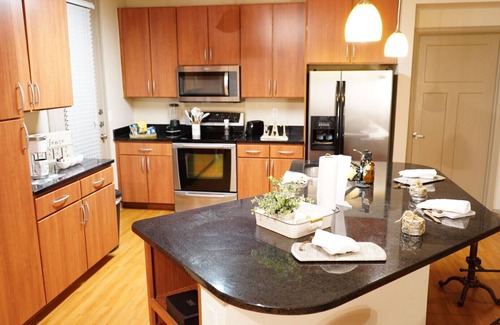 Westchase Apartment | The Tranquility Den (NRG,City Centre, Galleria)