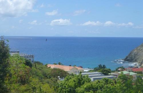 Point Blanche Apartment | The Tree House I