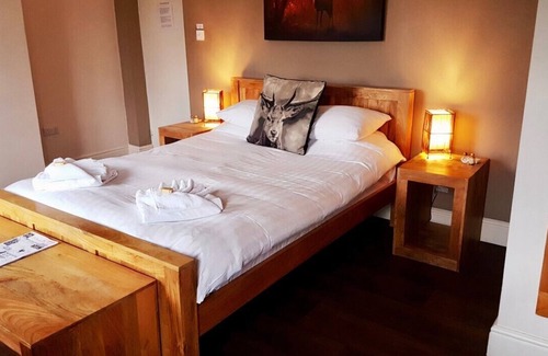 New Forest District Hotel | The Trusty Servant