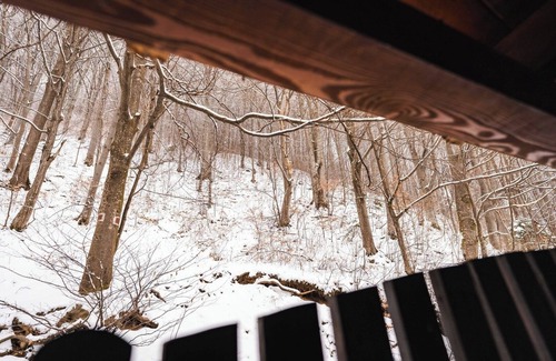 Bran Villa | The Vardo: Elegant Villa in Predelut w. Sauna