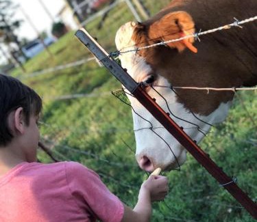 Siloam Springs Apartment | The Varnadoe Villa- Farm Stay