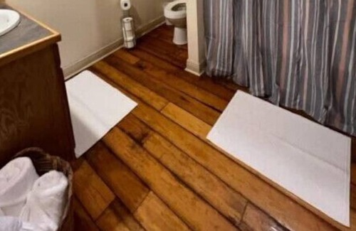 Ellisville Apartment | The Varsity in Historic Ellisville