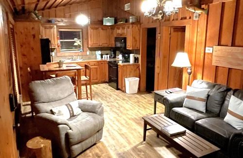 Heber Springs Cabin | The View is Great at Lobo #8! Log Cabin on Little Red River in Heber Springs