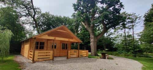 Nantwich Other | The Willow Cabin - Wild Escapes Wrenbury off grid glamping - ages 12 and over