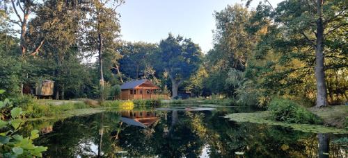 Nantwich Other | The Willow Cabin - Wild Escapes Wrenbury off grid glamping - ages 12 and over