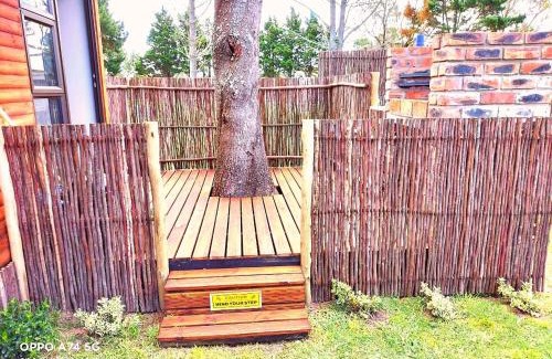 Port Elizabeth Apartment | Theescombe Accomodation