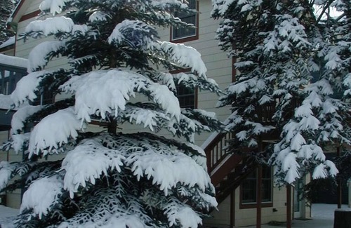 Estes Park House | Three Level Home Away from Home - Near the Big Thompson River