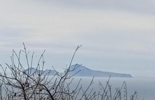 Trecase House | Threehouses