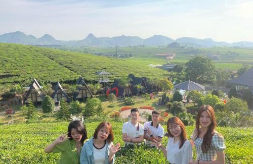 Moc Chau Hotel | Thung Lũng Ba Đồi Chè