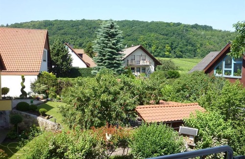 Bobenheim am Berg Apartment | Thurau - Apartment - Apartment Thurau