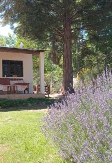 Salto Bed & Breakfast | Tiempo de Bienestar