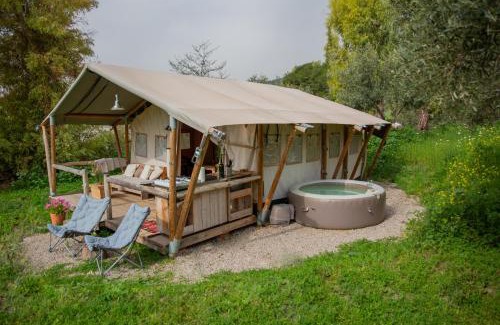 Montecorto Other | Tienda de Safari Almagro