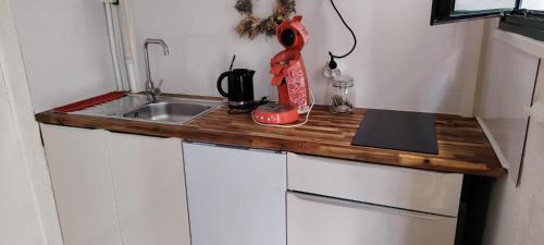 Arcachon Apartment | Timounyan T1 N23 centre ville Animaux acceptés