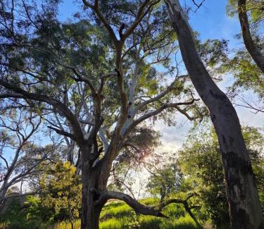 Yass River Apartment | Tiny Home on Yass River - Private Farm Stay- Pet and Horse Friendly