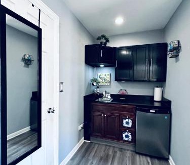 Heart of Chicago Apartment | Tiny House - Chicago Pilsen Neighborhood