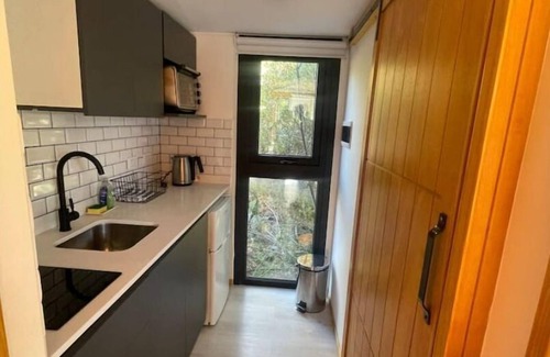 San Carlos de Bariloche Apartment | Tiny Nórdica, Bosque con Vista al Lago y Montaña