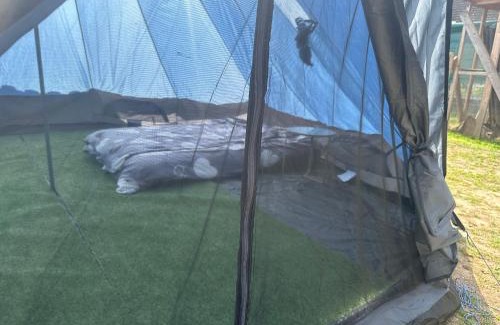 Halle Other | Tipi Zelt auf dem Ponyhof Roos