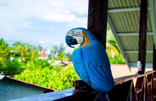 Paramaribo Bed & Breakfast | TJ Comfort Villa Suriname