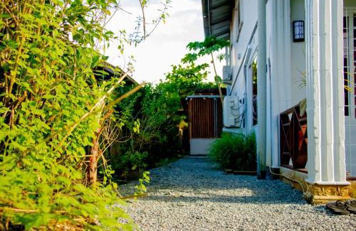 Paramaribo Bed & Breakfast | TJ Comfort Villa Suriname