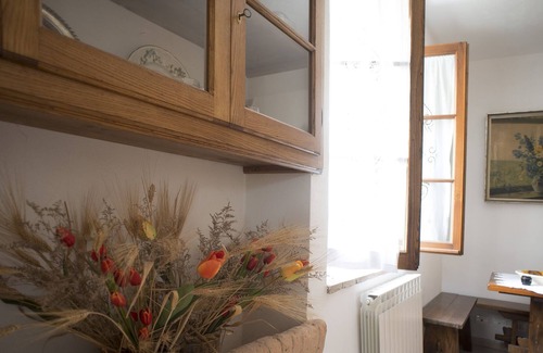 Belforte Apartment | Tognazzi Holiday Home - Casa Ailantus - private garden